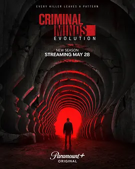 犯罪心理：演变第十九季 Criminal Minds: Evolution Season 19